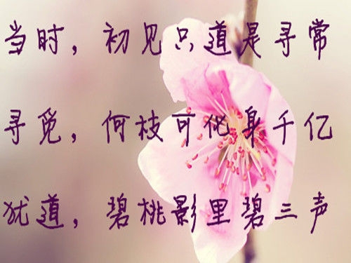 个性文字签名图片 安如少年初如梦