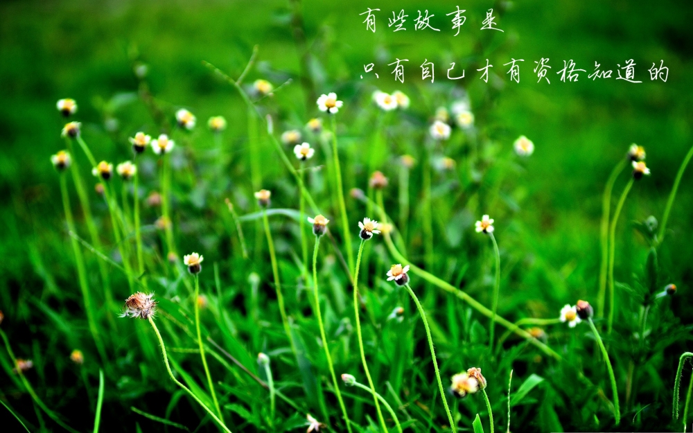 心灵语录文字高清创意风格壁纸 第二辑