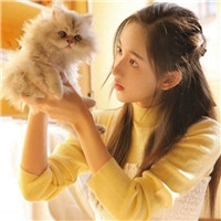 个性时尚抱猫美女qq头像