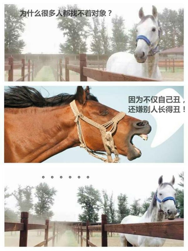 如何用一句话让对方瞬时崩溃