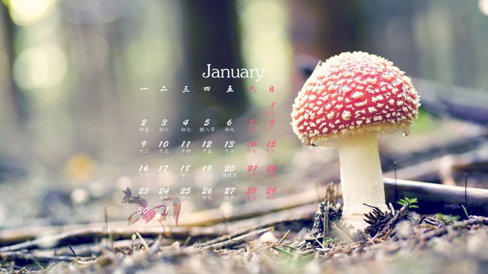 2017年1月小清新唯美意境高清桌面日历壁纸