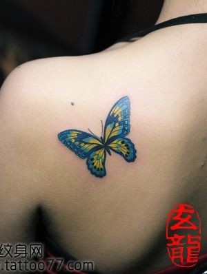 美女肩部唯美经典的蝴蝶纹身图片