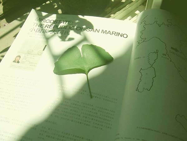 毛毛细雨轻抚着我   清新唯美图片