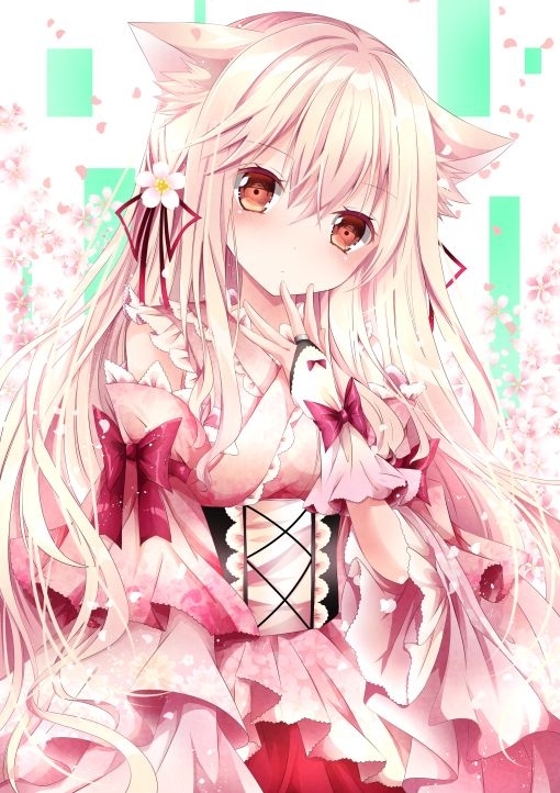 喵~