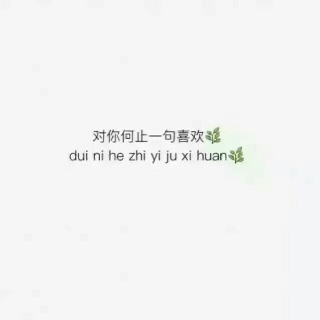 林莜:不建议你的诋毁 毕竟狗会向每个人犬吠