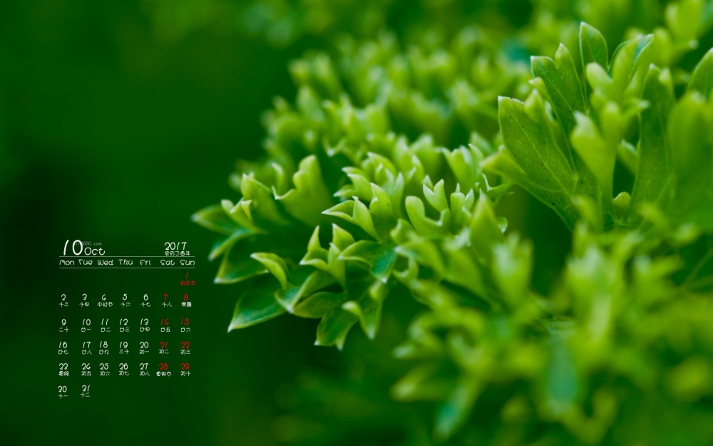 2017年10月绿色护眼植物日历桌面壁纸