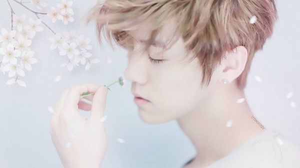 EXO 鹿哥