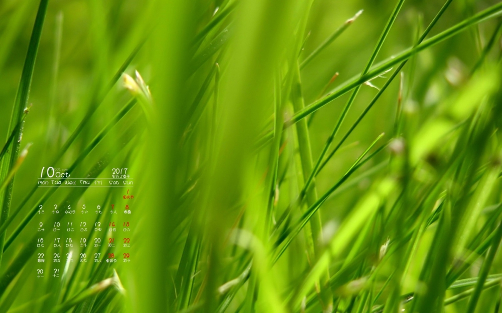2017年10月绿色护眼植物日历桌面壁纸