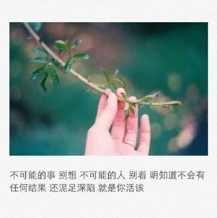 后来你牵了谁的手，替谁挡着风。