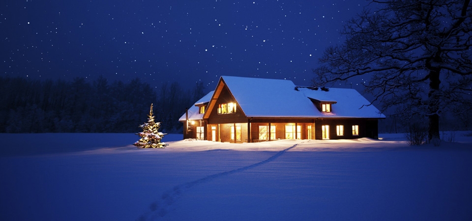 圣诞，晚上，冬季，雪，树，灯，新年，圣诞夜景壁纸