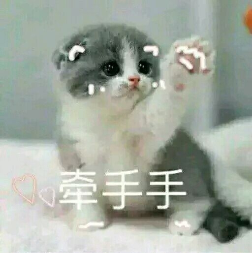 超可爱小喵咪表情图