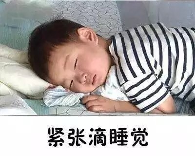 每天早上我的起床大戏都相当丰富