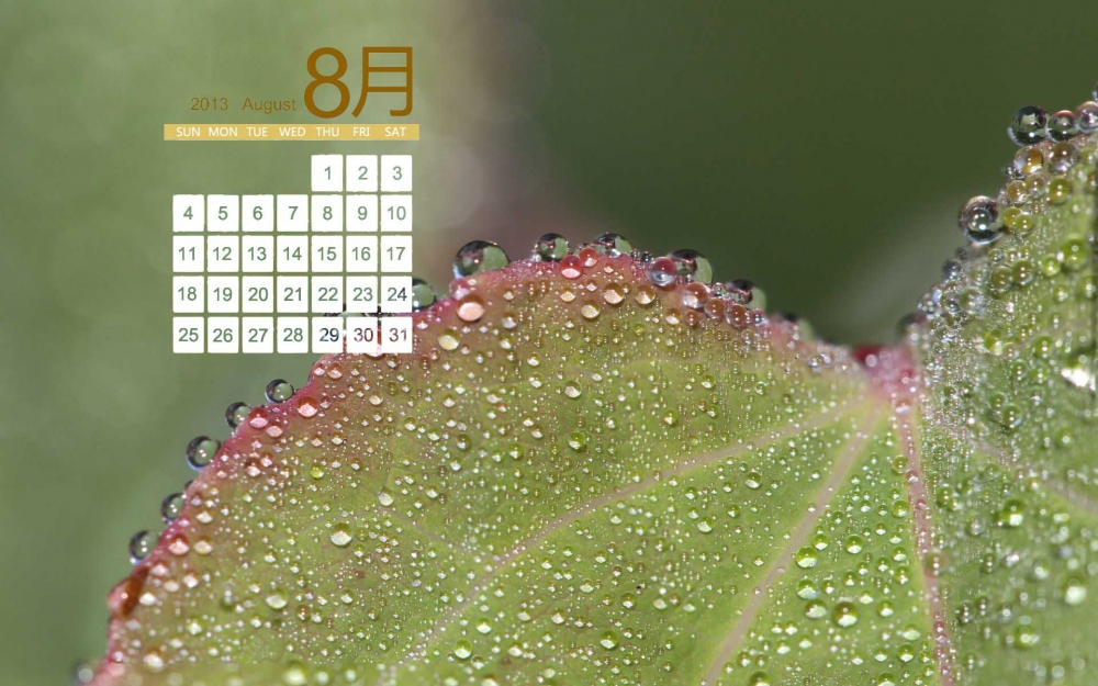 2013年8月日历桌面壁纸之植物景色