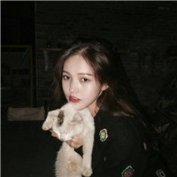 个性时尚抱猫美女qq头像