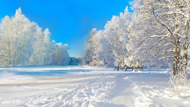 摄影大自然冬季唯美雪景图片大全