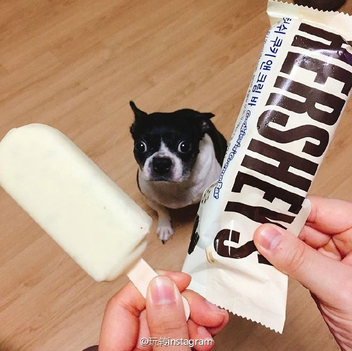 Hershey's 新口味冰淇淋
