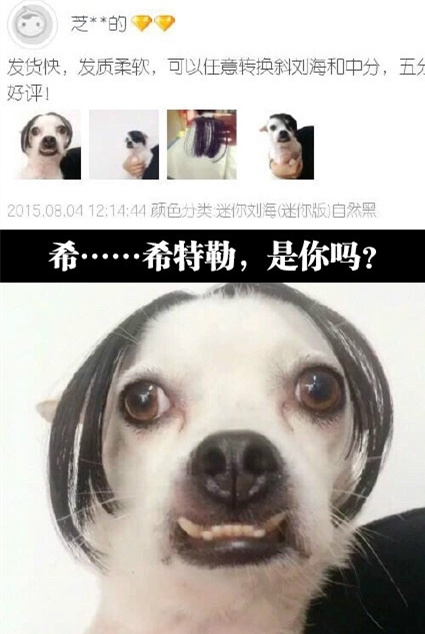 小哥，我找到你那片刘海的兄弟了！