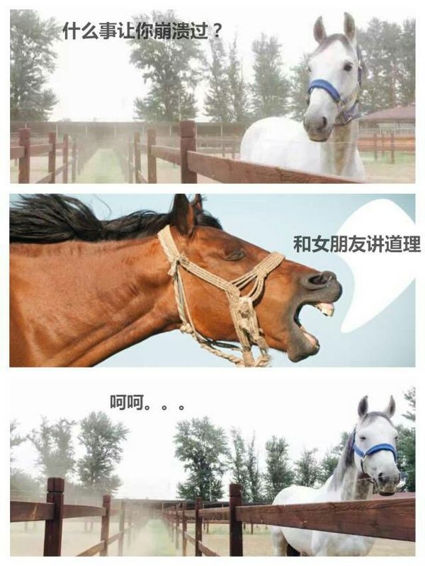 如何用一句话让对方瞬时崩溃