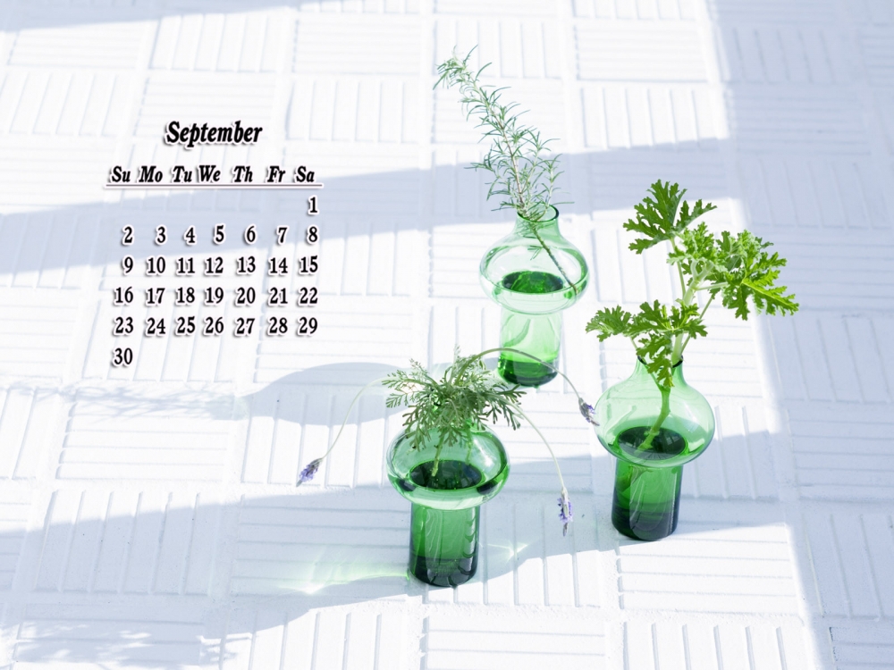 9月日历壁纸之阳台上的绿意