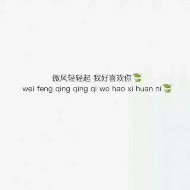 林莜:不建议你的诋毁 毕竟狗会向每个人犬吠