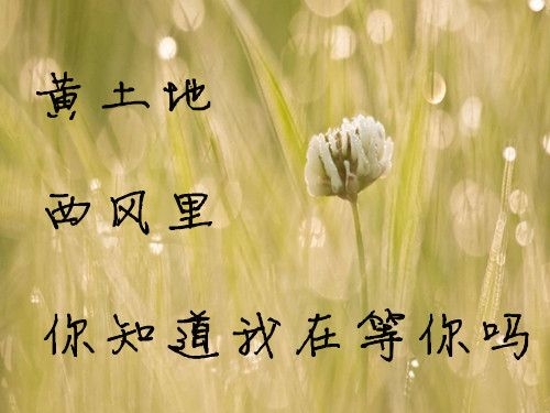 个性文字签名图片 安如少年初如梦