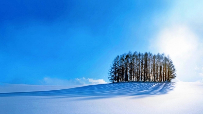 摄影大自然冬季唯美雪景图片大全