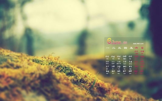 2013年6月日历电脑桌面壁纸