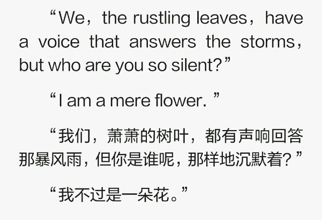 黑白影画。