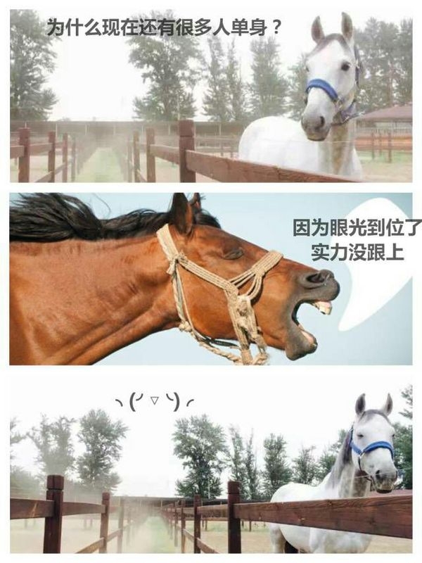 如何用一句话让对方瞬时崩溃