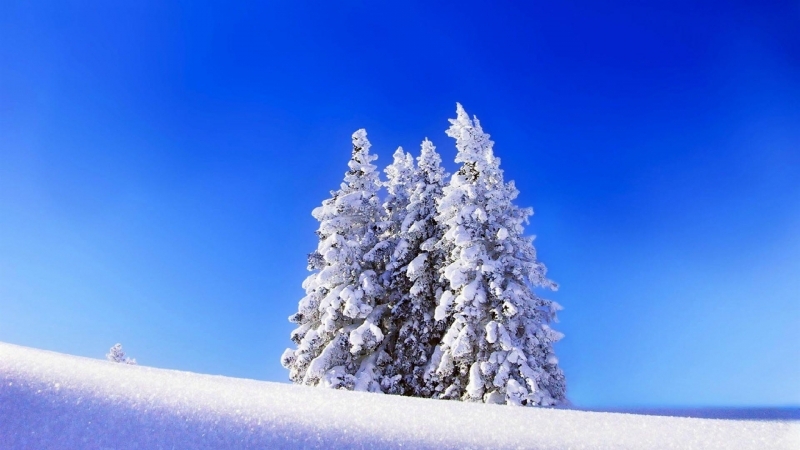 摄影大自然冬季唯美雪景图片大全