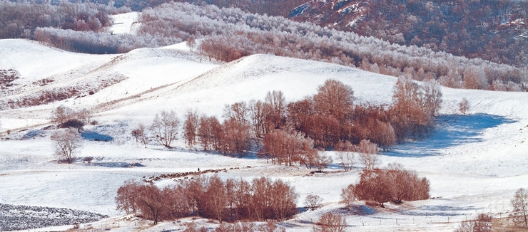 塞罕坝之冬美丽风景