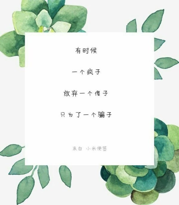 放弃一个傻子，只为一个骗子