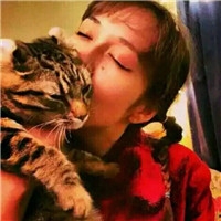 个性时尚抱猫美女qq头像