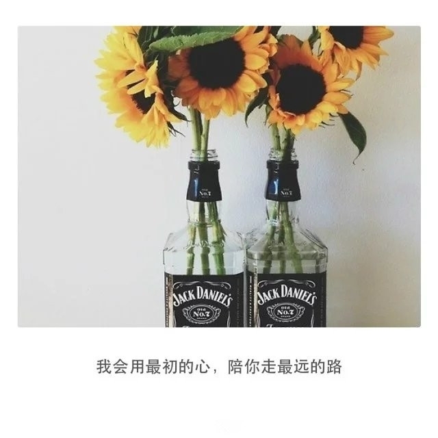 只要步履不停，我们总会遇见