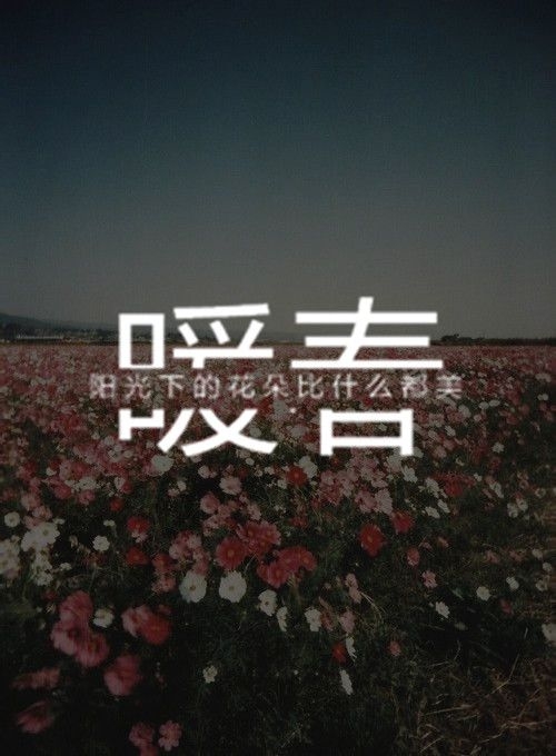 阳光下的花朵，比什么都美丽