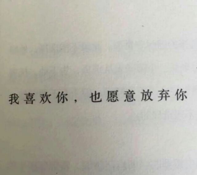 酒还剩半杯你说你好累  故人还未归往后别流泪