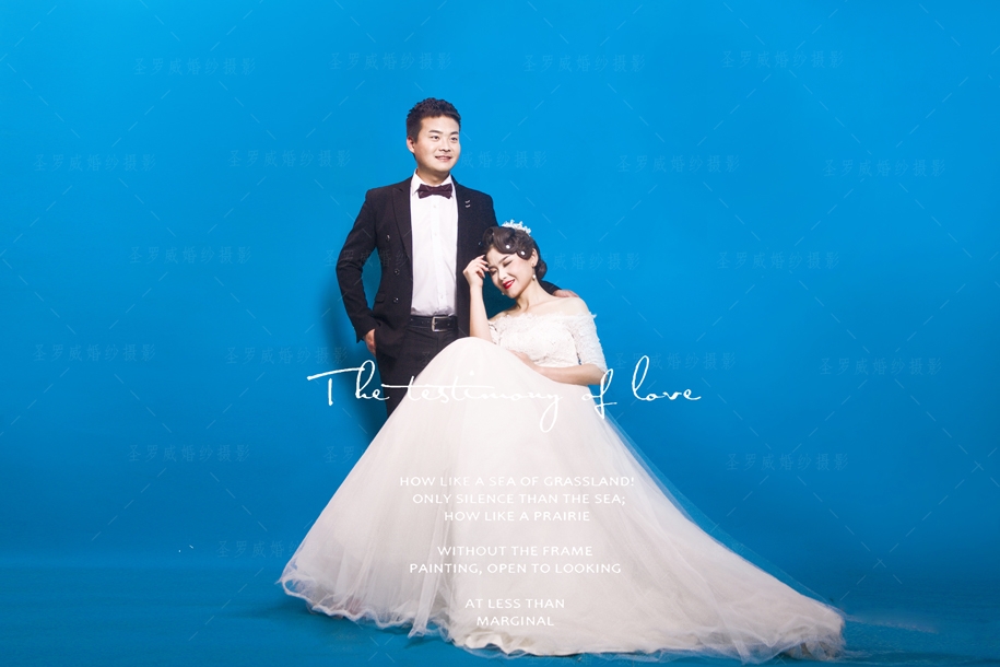 爱人相伴一生 婚纱照