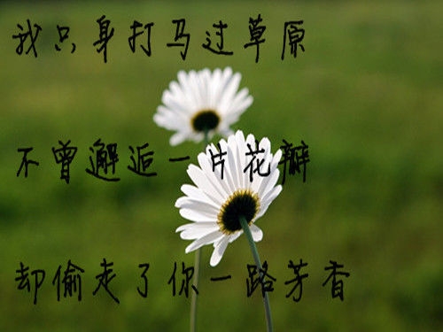 个性文字签名图片 安如少年初如梦