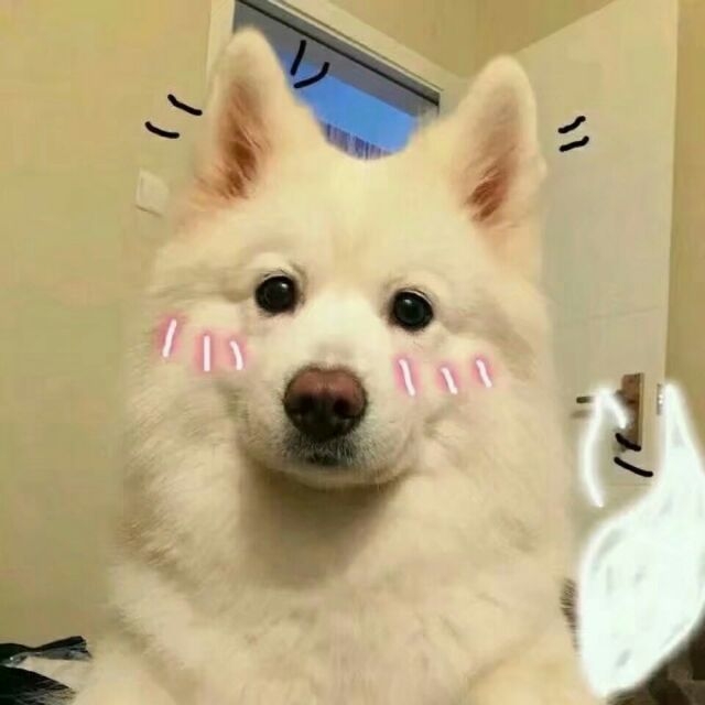 我的愿望是 能再见到你