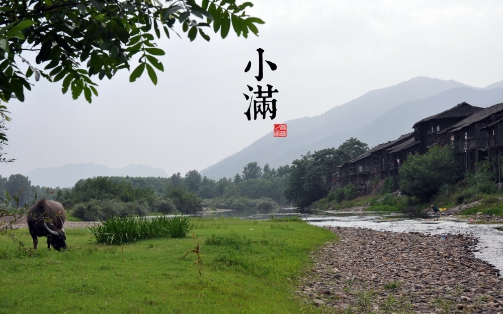 二十四节气宽屏壁纸