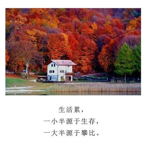 成熟哲理有内涵的文字图片  丰