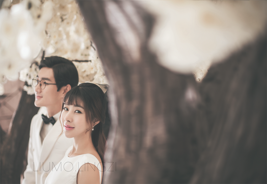 浪漫花树 婚纱照