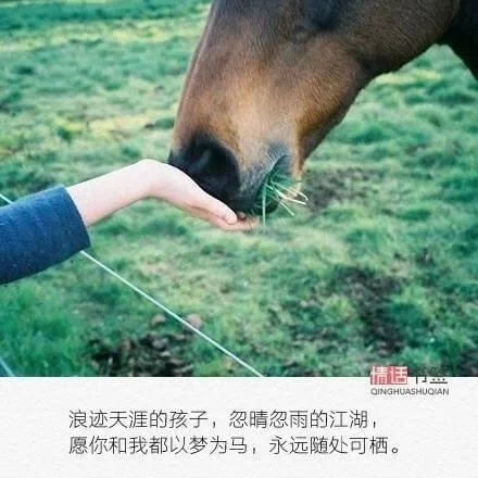 情话书签：人生这么长，我只想陪你