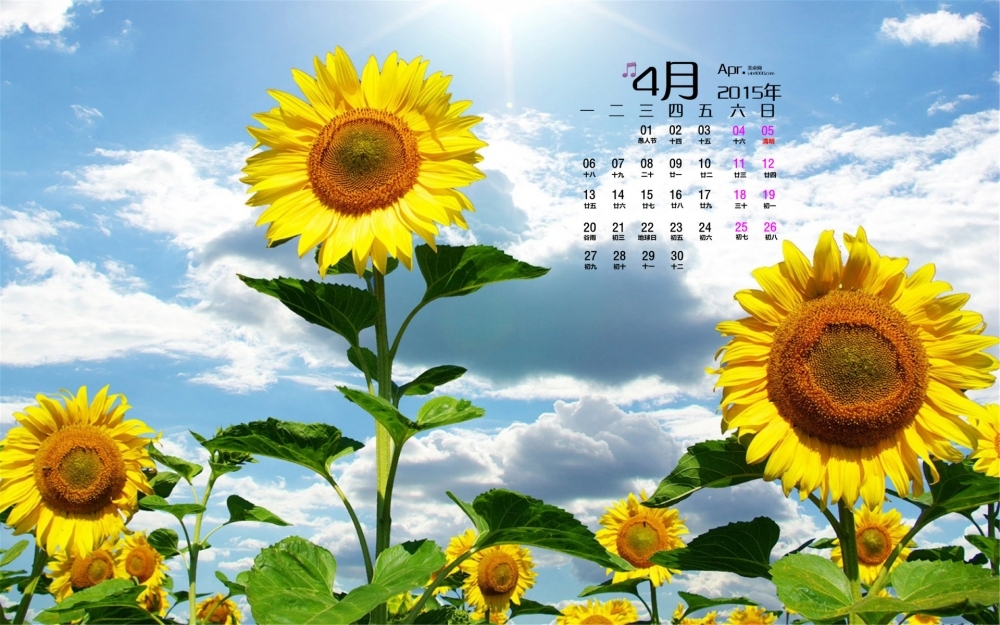 2015年4月日历壁纸金色向日葵好看花朵治愈系图片高清下载