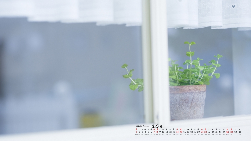 2017年10月室内植物小清新日历壁纸