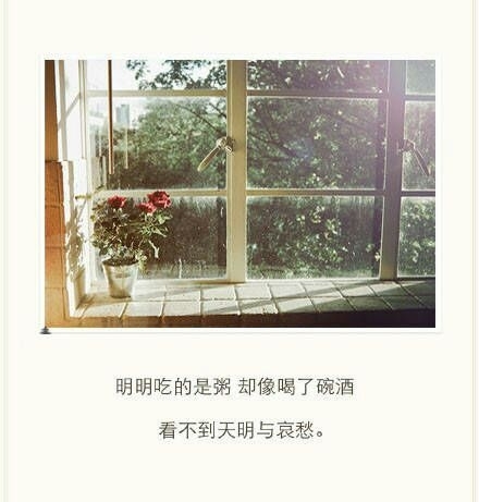 最后一次说晚安，以后好好照顾自己，再见