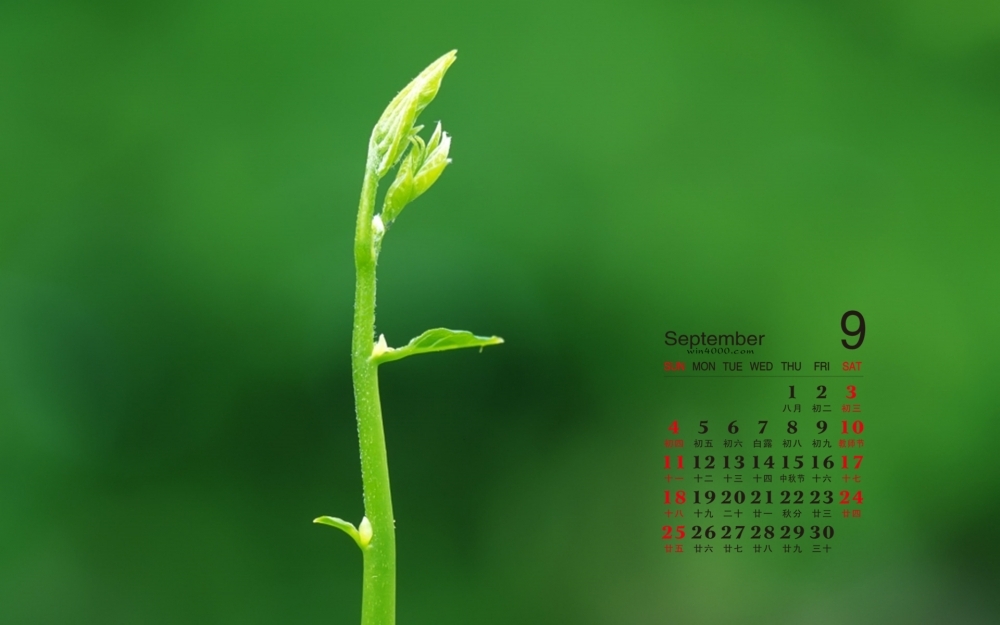 2016年9月日历精选绿色植物高清宽屏桌面壁纸