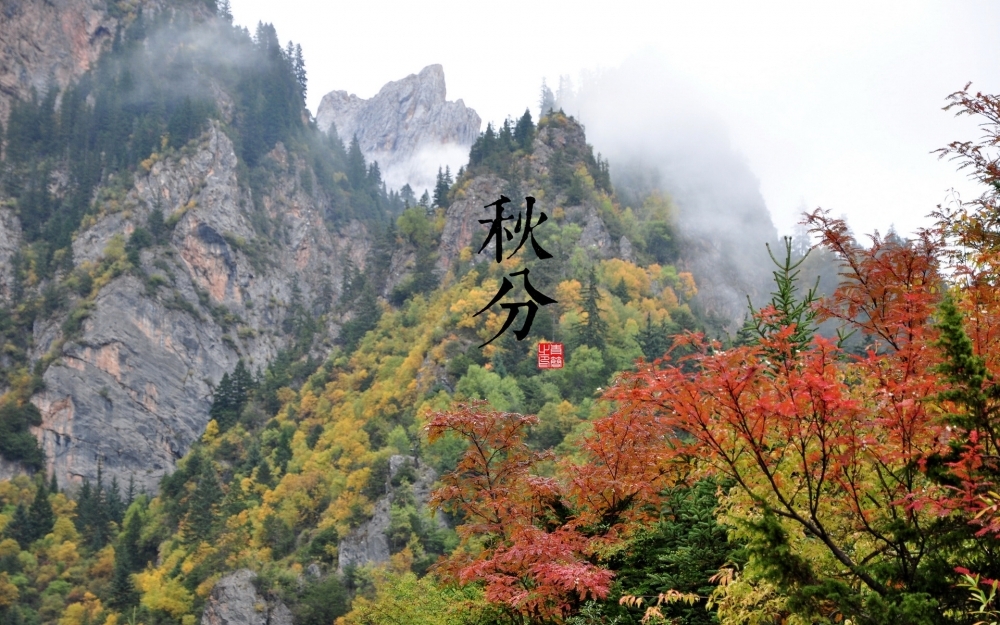 二十四节气宽屏壁纸