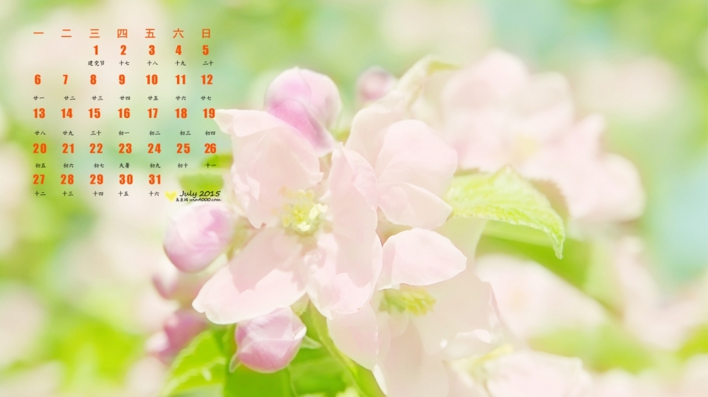 2015年7月日历精选高清清新粉嫩护眼植物花卉桌面壁纸下载