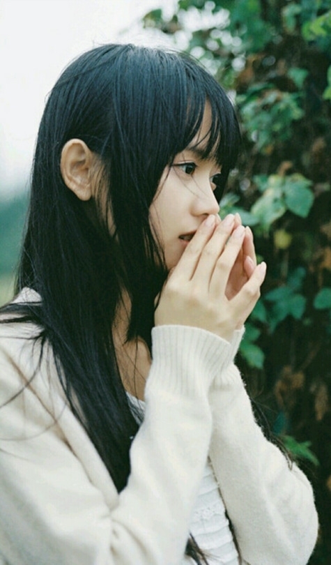唯美绿色 唯美绿色护眼四叶草图片